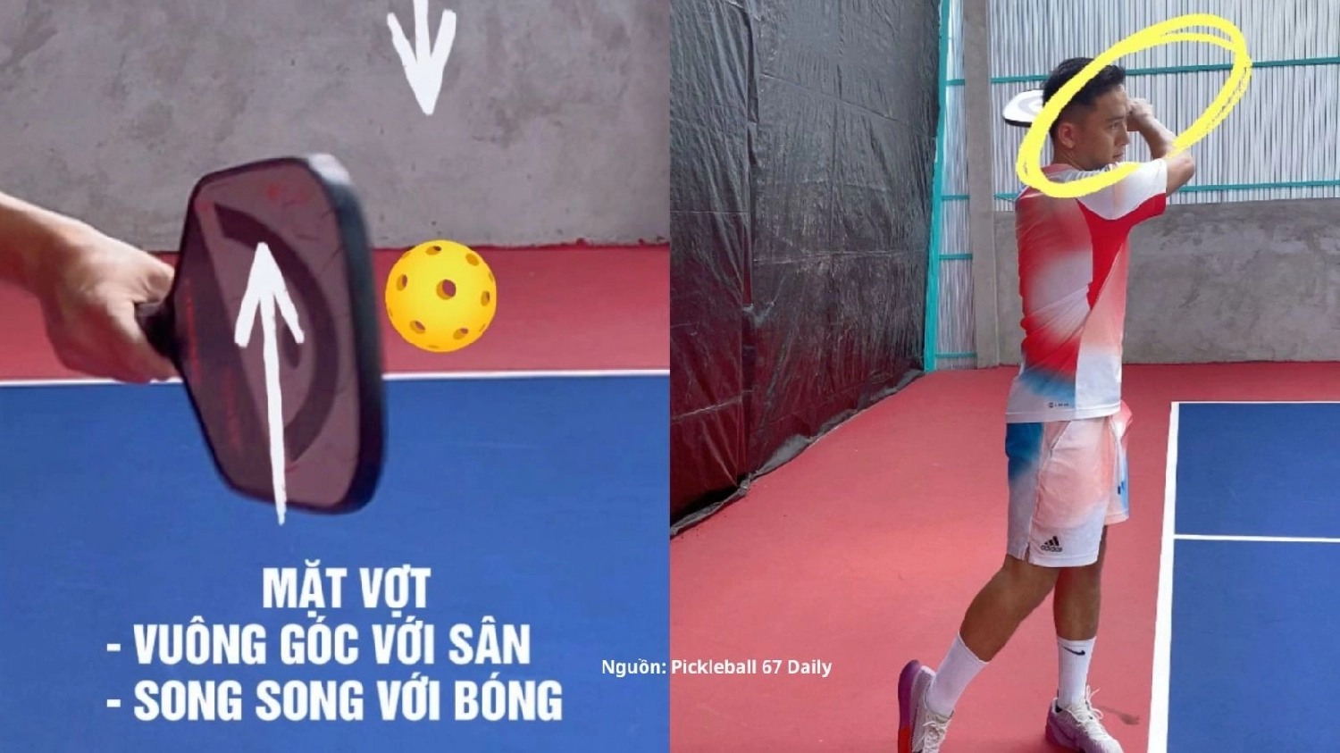 Kỹ thuật giao bóng Pickleball Topspin